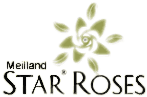 Star Roses Logo